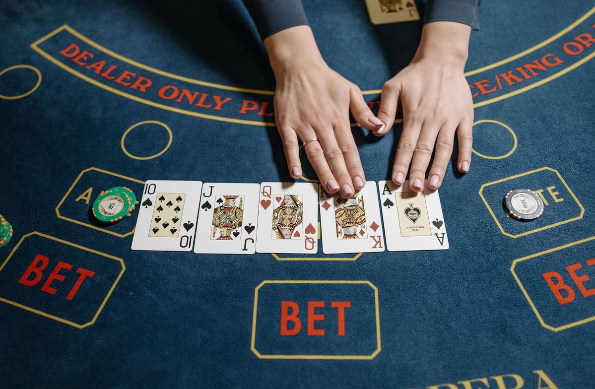 Golden Panda Live Betting